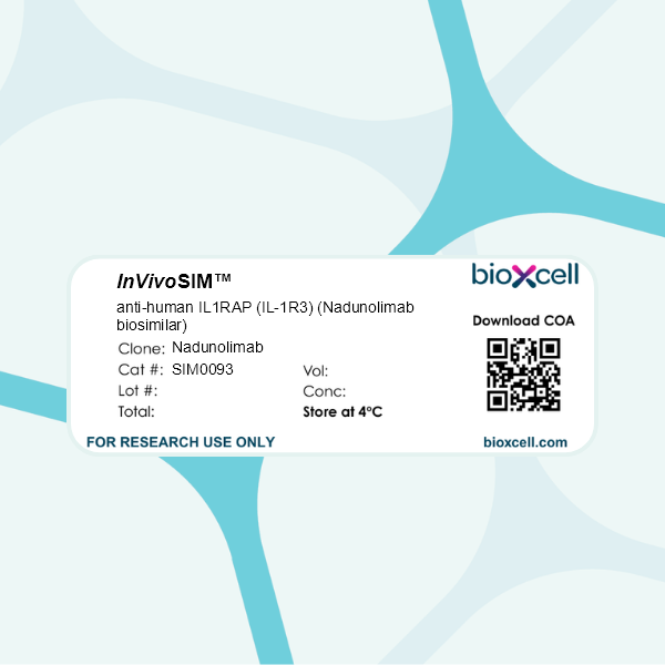 <em>InVivo</em>SIM anti-human IL1RAP (IL-1R3) (Nadunolimab biosimilar)